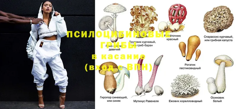 Галлюциногенные грибы Magic Shrooms  Партизанск 